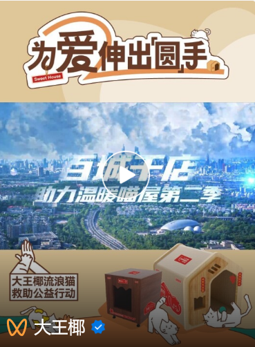 深度起底！大王椰“温暖喵屋计划20”用公益解锁品牌进阶方程式？Bwin必赢(图11)