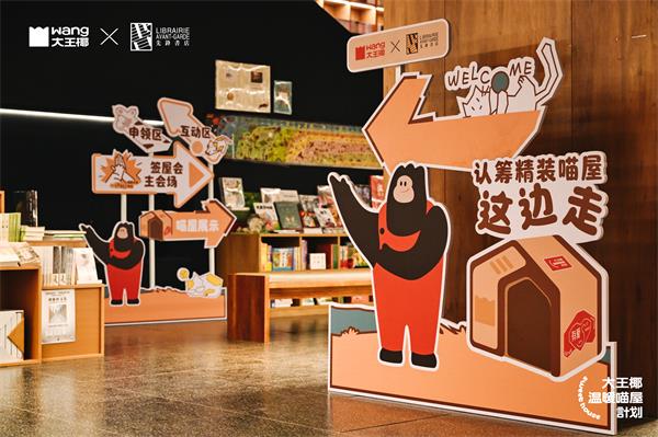 深度起底！大王椰“温暖喵屋计划20”用公益解锁品牌进阶方程式？Bwin必赢(图12)