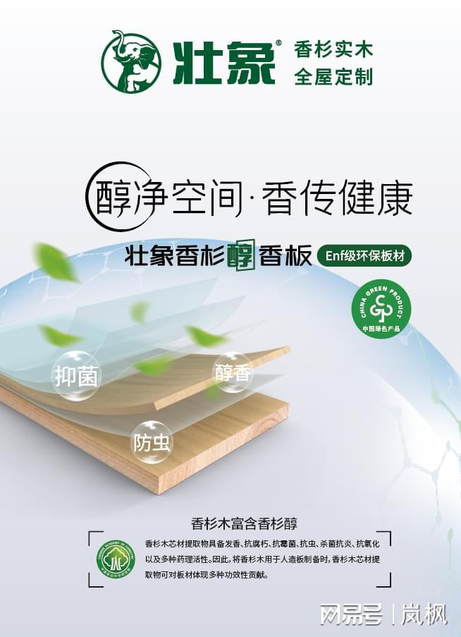 必赢国际板材十大品牌最新排行榜（2024年）(图2)