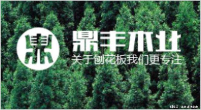 颗粒板什么品牌好？2025年度十大颗粒板品牌介绍！(图11)