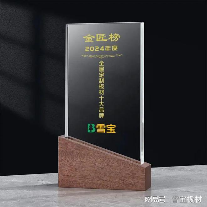 喜报频传！雪宝再获2024年度“全屋定制板材十大品牌”奖项荣誉(图3)