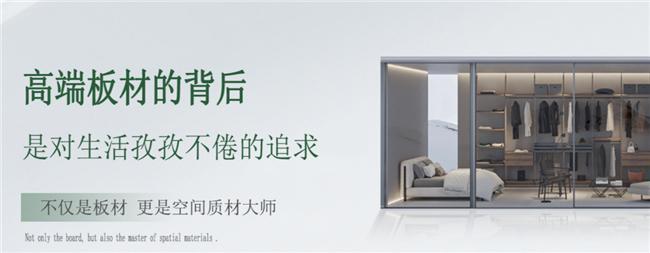圣木匠环保ENF级板材19道工序荣获消费者装修必选品牌(图2)
