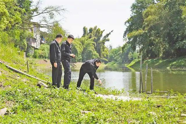 2024年度美丽重庆全媒体优秀传播案例｜向绿而行两代人的环保“接力跑”Bwin必赢(图3)