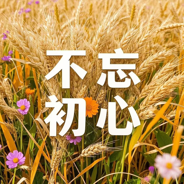 以专业为基口碑为翼绿色家缘铸就除必赢国际甲醛领域标杆品牌！(图3)
