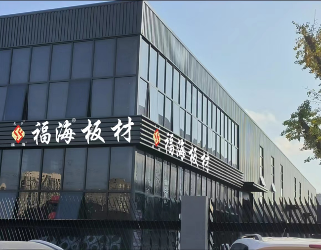 见证辉煌：2025“中品榜”健康板材十Bwin必赢大品牌榜单公布(图6)