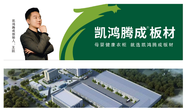 见证辉煌：2025“中品榜”健康板材十Bwin必赢大品牌榜单公布(图9)