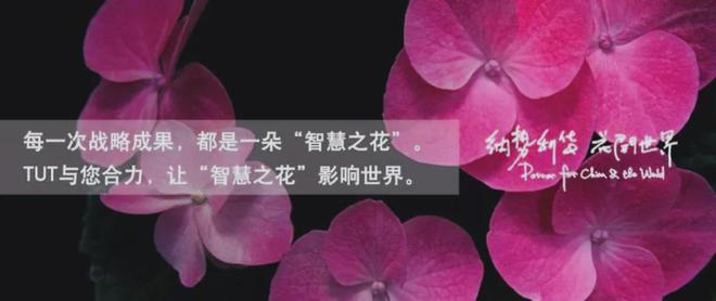 Bwin必赢从小镇走向世界宜家（IKEA）的全球化历程、品牌战略与启示(图7)