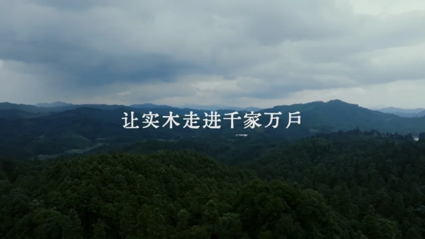 大王椰文化IP寻木必赢之旅荣获第25届IAI传鉴国际广告·整合营销铜奖(图6)