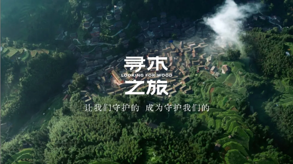 大王椰文化IP寻木必赢之旅荣获第25届IAI传鉴国际广告·整合营销铜奖(图11)