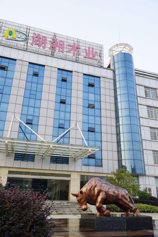 2025年板材十大品牌抢先看行业格局或将改变必赢(图2)