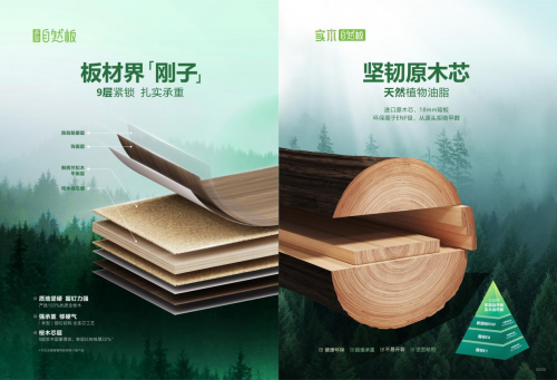 携手大自然整家定制：以品质与创新开启家居行业新机遇(图5)