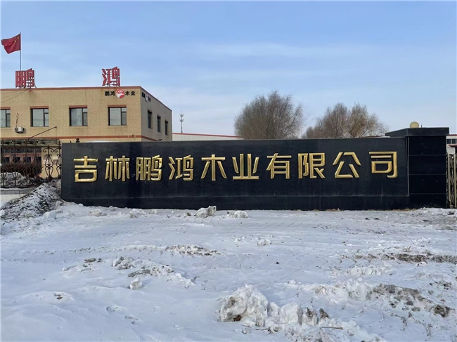 必赢2025板材十大品牌正式公布引领家居建材新风尚！(图2)
