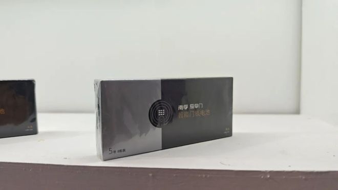 门Bwin必赢博会焦点：看南孚爱掌门如何赢得智能锁B端伙伴青睐(图2)