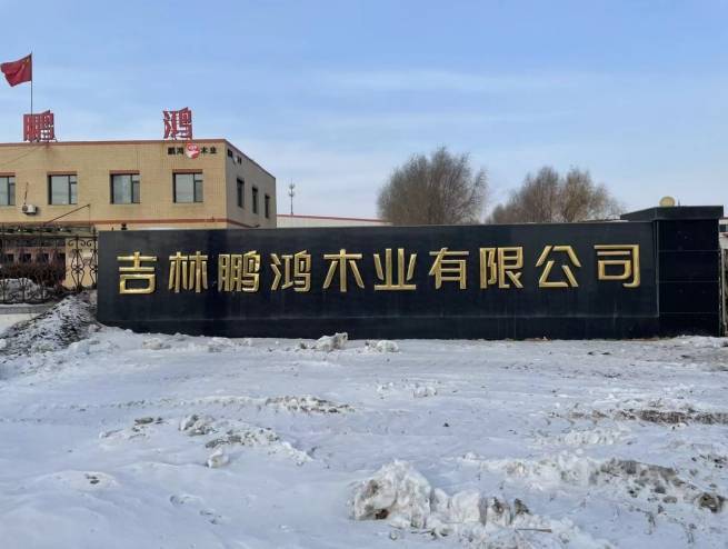 2025板材十大品牌权威解析：环保与创新引领绿色家居新趋势(图1)