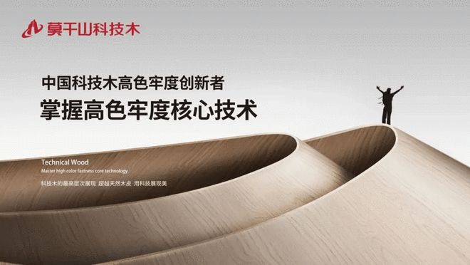 智见绿色焕新家居与云峰莫干山相约2025第五届湖州家博会(图9)
