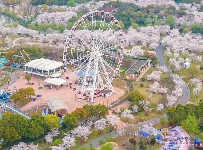 必赢®中建山水雅境售楼处宝山中建山水雅境发布：报名火爆开启(图10)