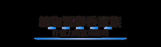 把“第六感”装进家莫干山板材以香为媒解锁家必赢居疗愈新维度(图4)