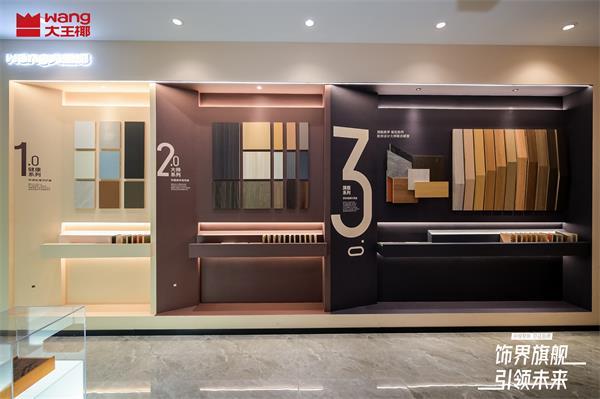 大王椰x杭州Bwin必赢领养日x小豆泥跨界公益为流浪毛孩筑美学暖巢(图3)