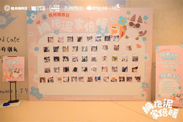 大王椰x杭州Bwin必赢领养日x小豆泥跨界公益为流浪毛孩筑美学暖巢(图5)