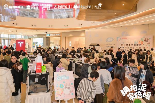 大王椰x杭州Bwin必赢领养日x小豆泥跨界公益为流浪毛孩筑美学暖巢(图6)