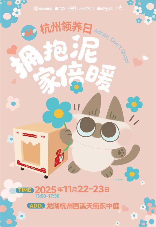 实木猫屋、公益领养大王椰用“场景化美学”破局高端板材营销(图1)