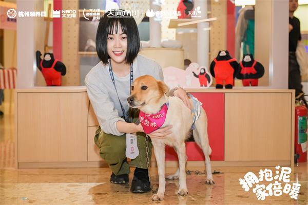 实木猫屋、公益领养大王椰用“场景化美学”破局高端板材营销(图3)