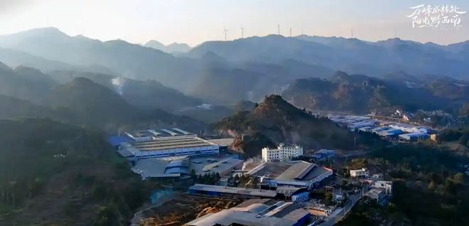 Bwin必赢15天完成首单出口！黔西南板材叩开东南亚市场大门(图2)