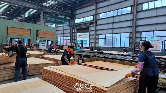 Bwin必赢15天完成首单出口！黔西南板材叩开东南亚市场大门(图3)