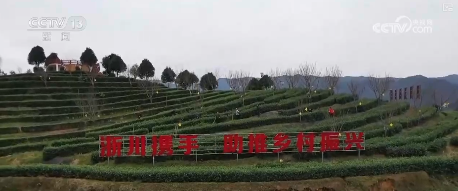 必赢国际从政策到投资、从壮大新动能到“人工智能+”怎么干？(图11)