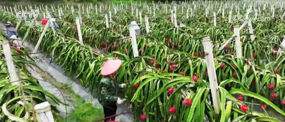 必赢国际从政策到投资、从壮大新动能到“人工智能+”怎么干？(图12)