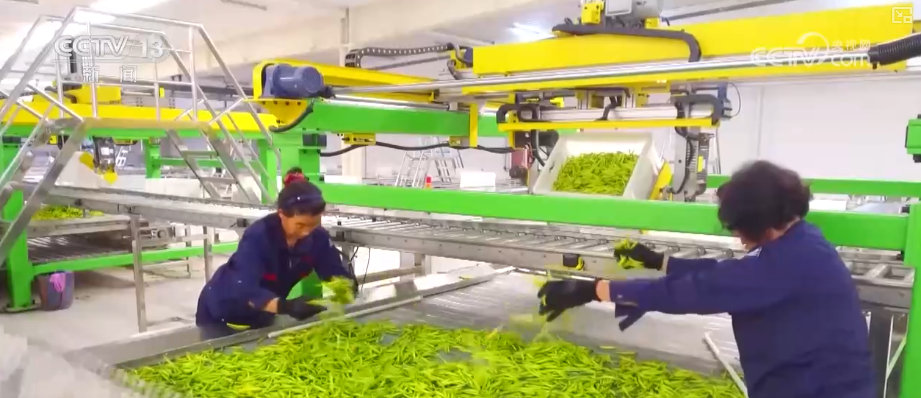 必赢国际从政策到投资、从壮大新动能到“人工智能+”怎么干？(图16)