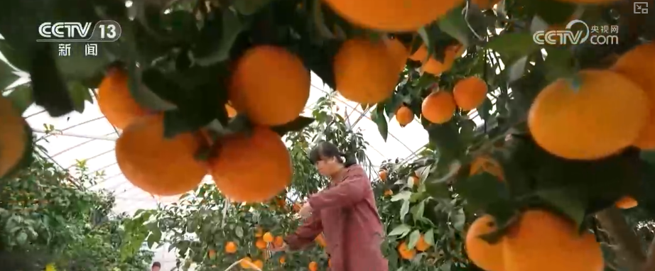 必赢国际从政策到投资、从壮大新动能到“人工智能+”怎么干？(图17)