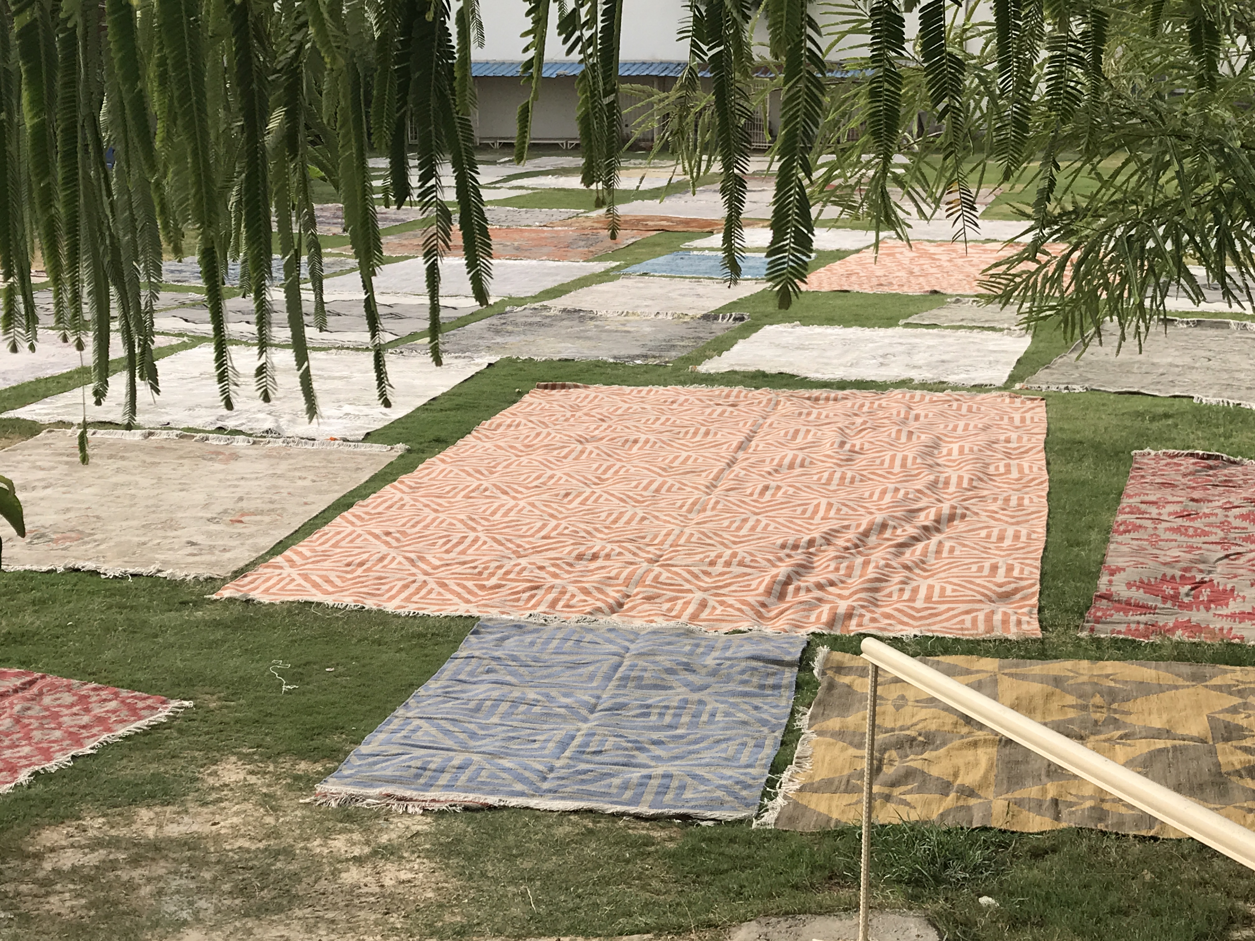 2025年安徽无必赢胶地毯公司推荐前十：行业实力精选