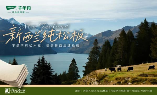 绿色建材示范企业千年舟：为破局家居建材存量市场“把脉问诊”