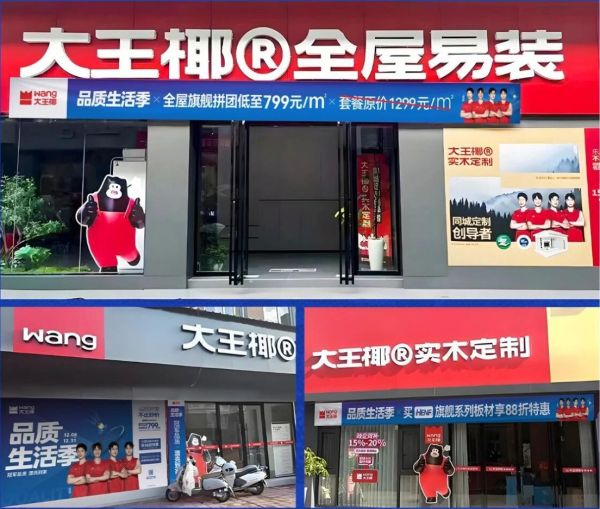 大王椰携手2025世界羽联巡回赛总决赛下百亿增长的大棋(图7)