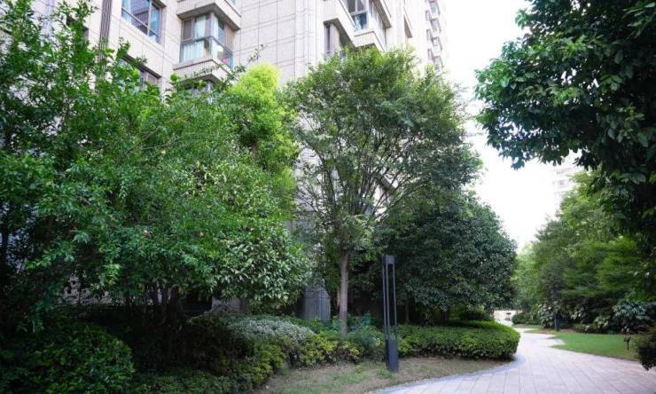 圣和静安公馆(售楼处)网站-圣和静安公馆销售中心(营销中心)-售楼处电话-户型-价格-开盘时间-楼盘详情-周边配套-2026得房率