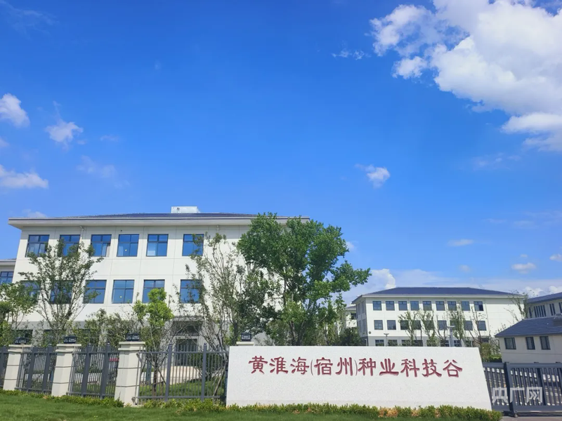 必赢宿州埇桥:一个农业大区的科创突围(图2)